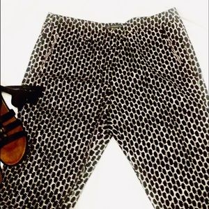 Great Looking Skinny Pants by Adrianna Papell. 14